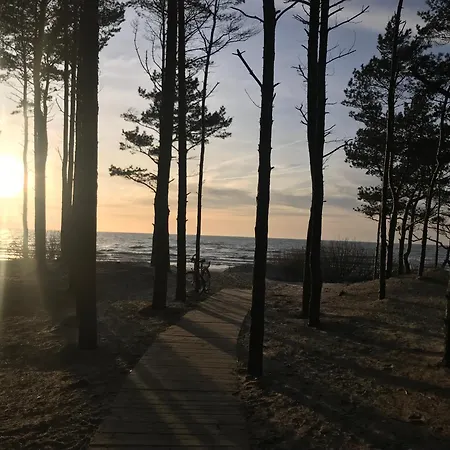 Kunigiskiai 아파트 팔랑가