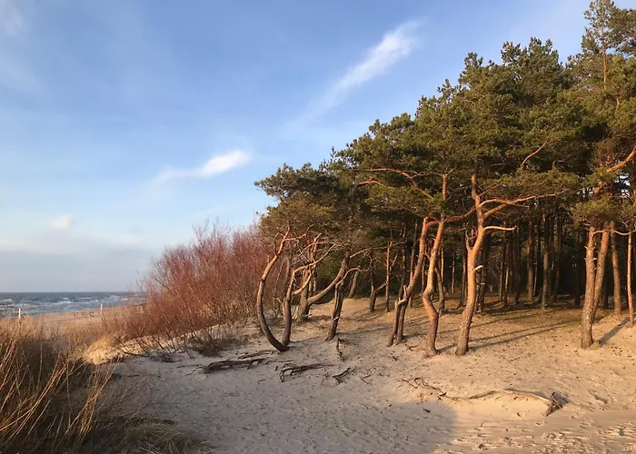 Apartman Kunigiskiai